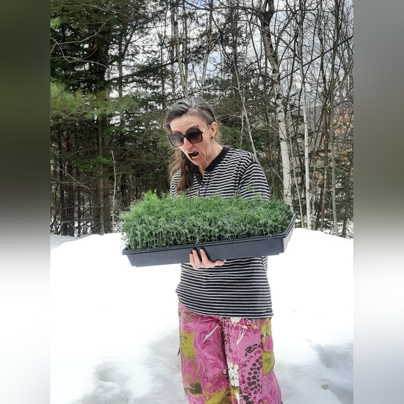 Meet your Posher, Sarah - Picture 3 of 5